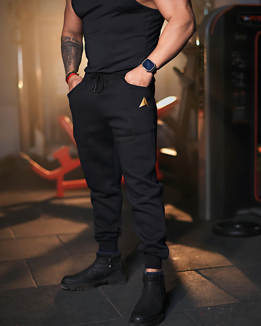 Aesthetic Indians Black Solid Jogger for Winters